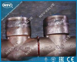 Kovaný spätný ventil WB